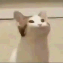 memeretio