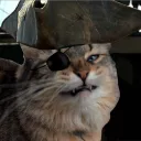 domatron22