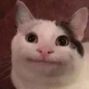 franlex