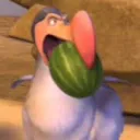 dodo3011.