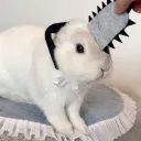 totallytonik