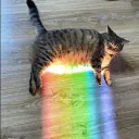 nyanbinaryrose