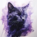 sael_hd