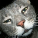 spooky_cr1s#3817's avatar