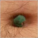 bumfluffles