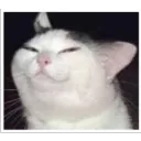 mikelikesthesky
