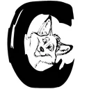 coyotte.