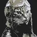 chiefkr
