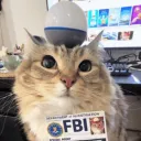 kitkatt