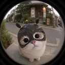 botsbunny