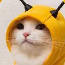 soobin165