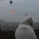 letsmoe
