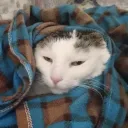 rafarquero