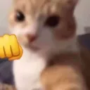 elainaexe