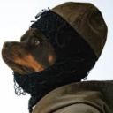 junesso#8560's avatar