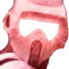 alterra