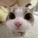 kerneloops64