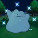 saltyy3987