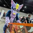 max__draco