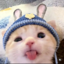 avatar a peach