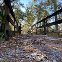 doobzz#7593's avatar