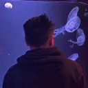 slnztv