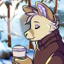 mochathecoyote