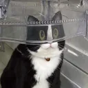 scpwm