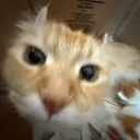 toxa_ferrari