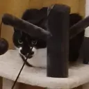 underkz