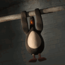 nutter_