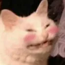 officercat