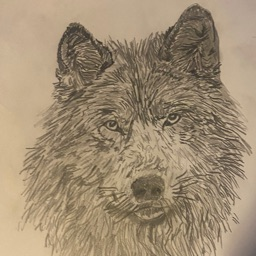 WolfMan's Avatar