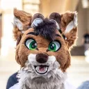 reggiethecaracal