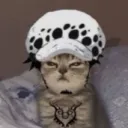 nobudy