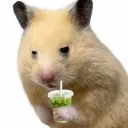 zoohan317