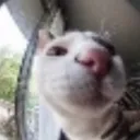 yuniwa_