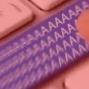 soraroshiennu5405