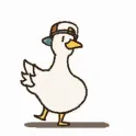 ropo12