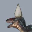 fallen_turtle