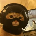sqjke