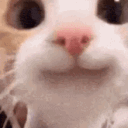 petachu