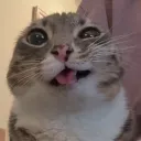 maaeex_
