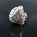 aegis1663