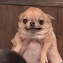 bossei