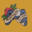 northern_ninja