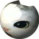 stevenxfk