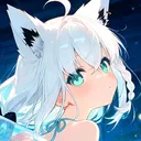 snowdraft