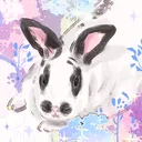 jinfoxie