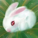 Candido0411's Avatar